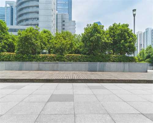 周年大盘点、“文学阅读素养课”进校园！苏州市吴中区一箭河实验小学扬子晚报苏州小记者主题活动日精彩纷呈