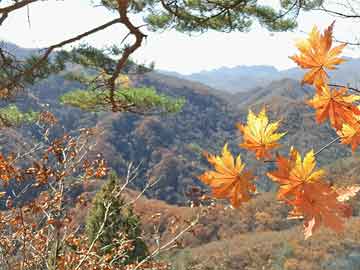 印象不错！新力东园交付了，架空层很花哨……